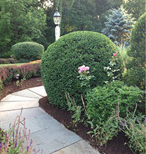 Bethel, CT, Bethel Landscaping I and Z I & Z Landscaper in Bethel Danbury CT Best in Fairfield County lawn care danbury new milford Connecticut
